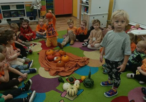 Dyniowe przygody Elfów i Biedronek