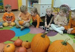 Dyniowe przygody Elfów i Biedronek