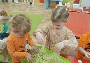 Dyniowe przygody Elfów i Biedronek