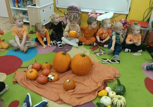 Dyniowe przygody Elfów i Biedronek