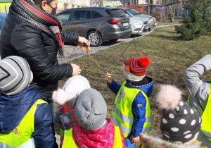 Pierwszy znaleziony zwiastun wiosny- bazie kotki.