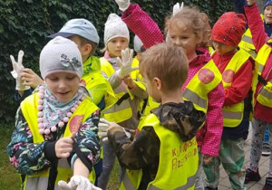 Żabki przygotowują się do sprzątania