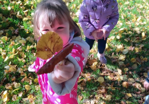 Dzieci zbierają liście