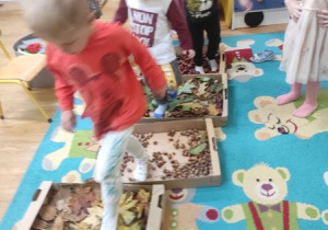 Dzieci pokonują ścieżkę sensoryczną z darami jesieni.