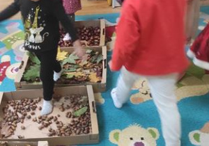 Dzieci pokonują ścieżkę sensoryczną z darami jesieni.
