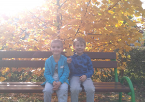 Piotruś i Jacek siedzą na ławeczce przed drzewem platanem