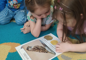 Dzieci poznają ptaki zimujące w Polsce