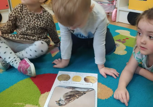 Dzieci poznają ptaki zimujące w Polsce