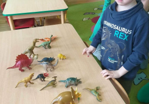 Filip M. ogląda figurki dinozaurów.
