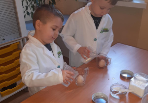 Witek i Olek umieszczają jajko w szklance ze słodką wodą.