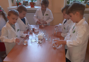 Antek, Miłosz, Mateusz, Adam i Kuba umieszczają jajko w szklance ze słodką wodą.