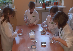 Lilka, Kuba, Kornelia i Zosia umieszczają jajko w szklance ze słodką wodą.