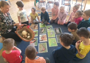 Dzieci oglądają różne rodzaje jaj.