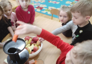 Dzieci wykonują sok marchewkowo- jabłkowy. Filip wkłada do wyciskarki marchewkę