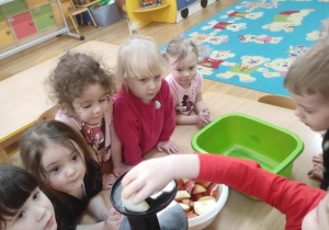 Dzieci wykonują sok marchewkowo- jabłkowy. Filip wkłada do wyciskarki jabłko.