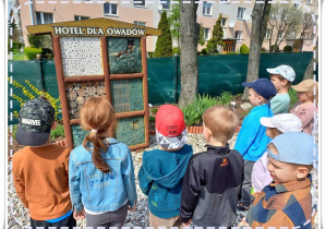 Dzieci obserwują pszczoły