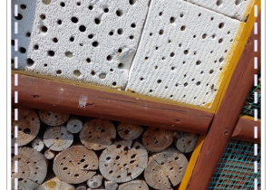 pszczoły i ich domek z plastrów drewna i bloczków betonowych
