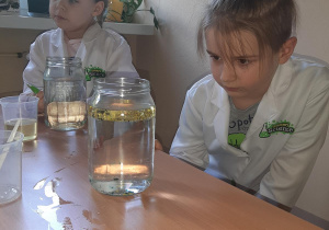Mateusz i Blanka obserwują przebieg eksperymentu w swoich słoikach z wodą.