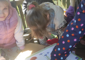 Dzieci oglądają ilustracje wiosennych kwiatów.