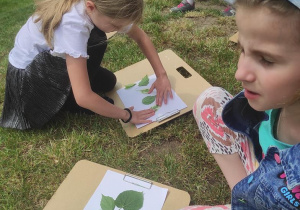 Dzieci układają kompozycję z liści.