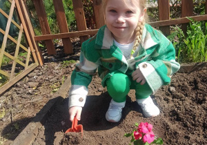 Pola sadzi swojego kwiatka w ogródku