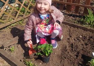 Hania sadzi swojego kwiatka w ogródku