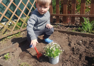 Gabryś sadzi swojego kwiatka w ogródku