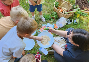 Dzieci miały okazje dotknąć nasiona warzyw.