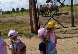 Dzieci na wycieczce w ZOO Borysew