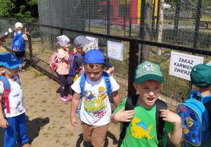 Dzieci na wycieczce w ZOO BorysewDzieci na wycieczce w ZOO Borysew