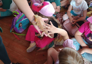 Dzieci podczas warsztatów sensorycznych ze zwierzątkami