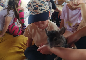 Dzieci podczas warsztatów sensorycznych ze zwierzątkami