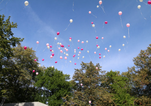 Balony szybujące w niebo