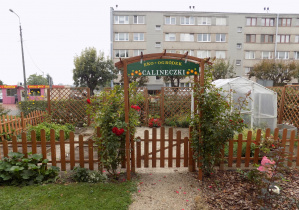 Ekologiczny ogródek Calineczki