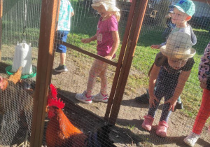 Dzieci oglądają zagrodę z kurami.