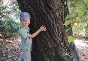Filip M. przytula się do drzewa