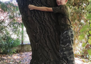 Jacek przytula się do drzewa