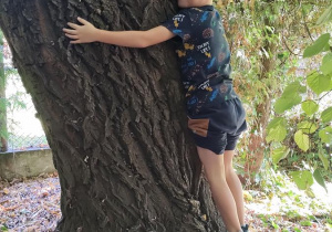 Jaś przytula się do drzewa