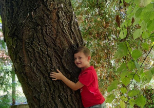 Tomek przytula się do drzewa
