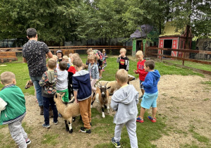 Dzieci karmią kózki i owieczki suchym chlebem.