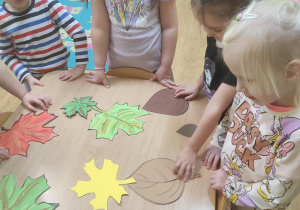 Dzieci segregują liście wg. kolorów.