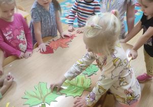 Dzieci segregują liście wg. kolorów.