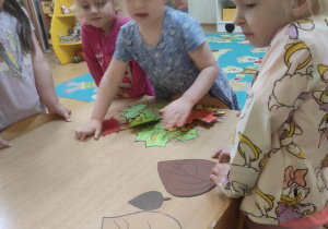 Dzieci segregują liście.