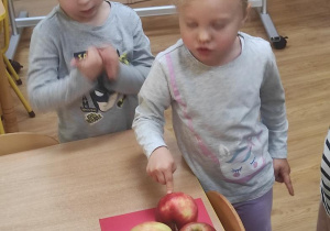 Nikola liczy jabłka.