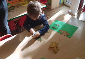 Igor tworzy jesienną kompozycję z liści.