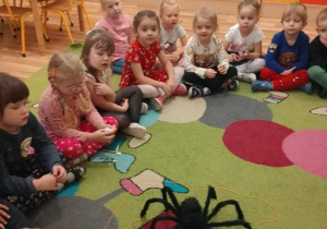 Dzieci poznają pająka Kazika.