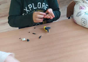 Dzieci lepią z plasteliny wybrane przez siebie ptaki zimujące w Polsce