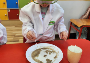 Wiktoria K. wykonuje eksperyment z pieprzem i mlekiem.