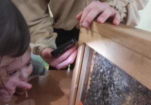 Dzieci oglądają żywe owady.