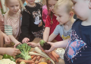 Dzieci oglądają, porównują i próbują warzywa.